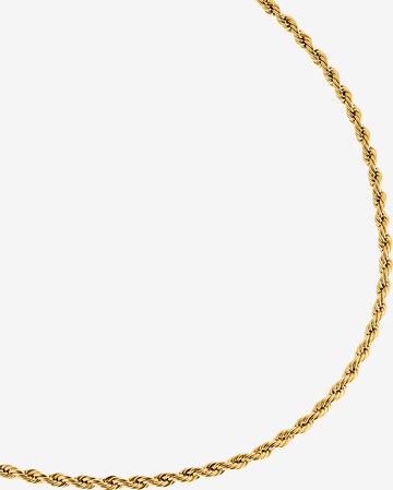 Heideman Necklace 'Caius' in Gold: front