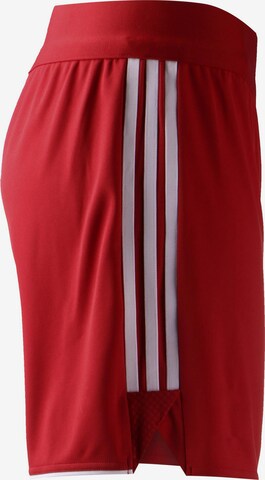 ADIDAS PERFORMANCE Regular Workout Pants 'Tiro 23 League' in Red