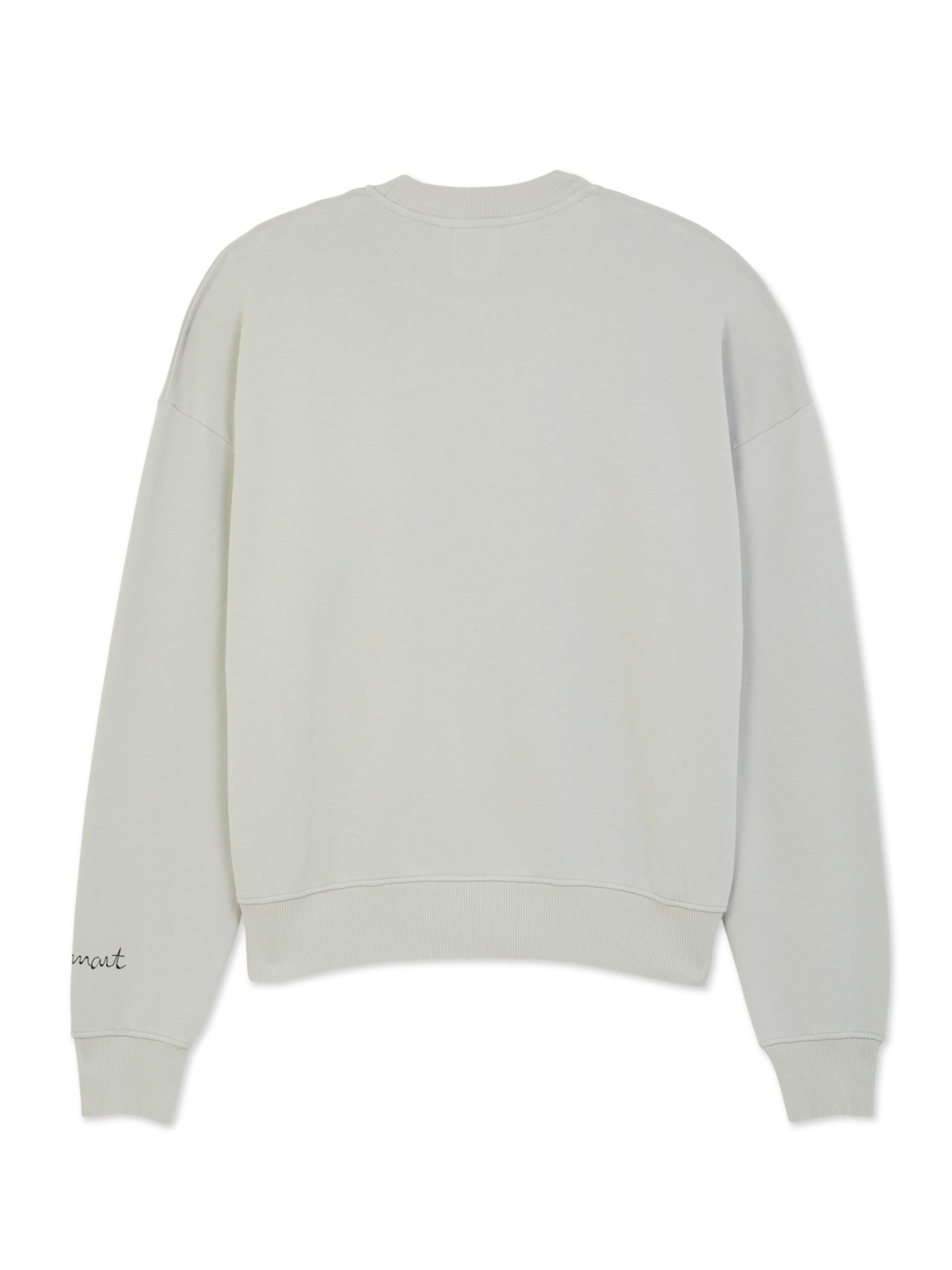 The Rad Black Kids Sweatshirt i grå