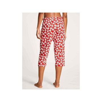 CALIDA Regular Pants in Red