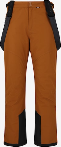 Whistler Sports trousers 'Drizzle' in Brown: front