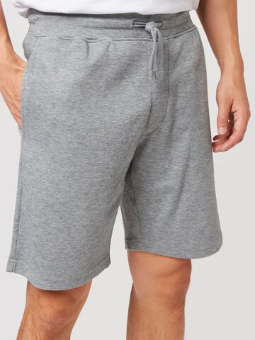 JBS OF DENMARK Regular Shorts in Grau