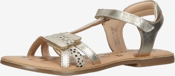 Kickers Sandals in Gold: front
