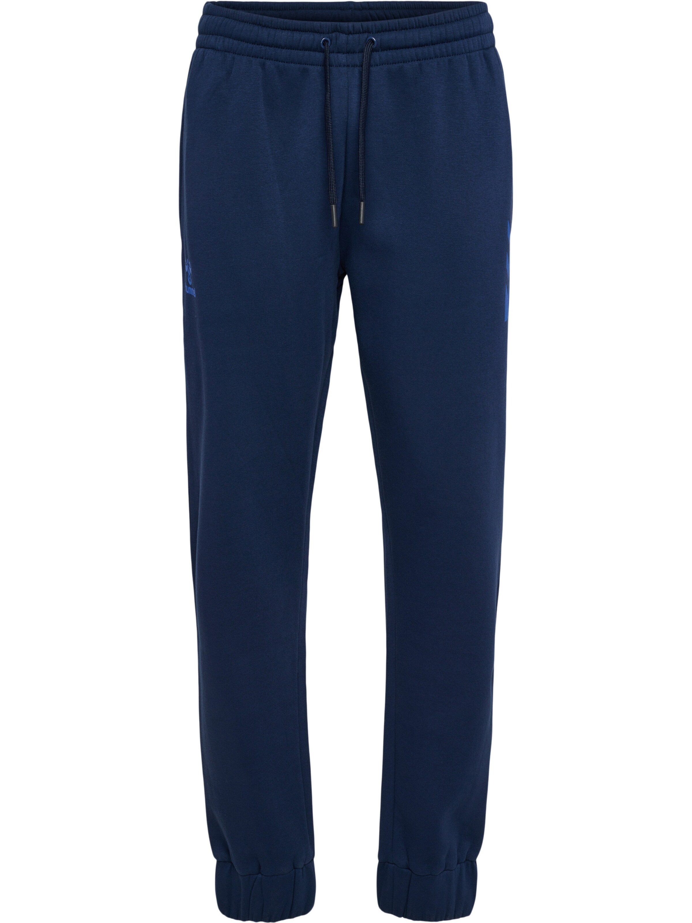 Hummel Tapered Sports trousers 'ACTIVE' in Blue: front