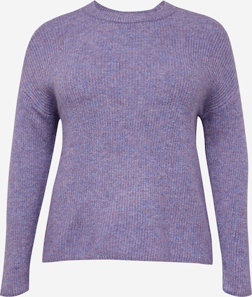 EVOKED Sweter 'LAC' w kolorze fioletowy: przód