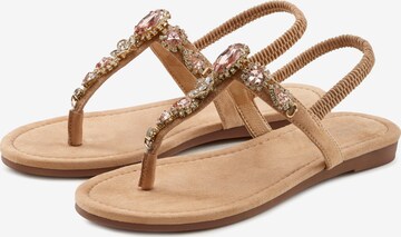 LASCANA T-Bar Sandals in Beige