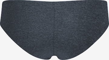 Royal Lounge Intimates Panty 'Rio Fit' in Grey