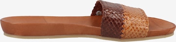 Fred de la BretoniÈre Mules in Brown