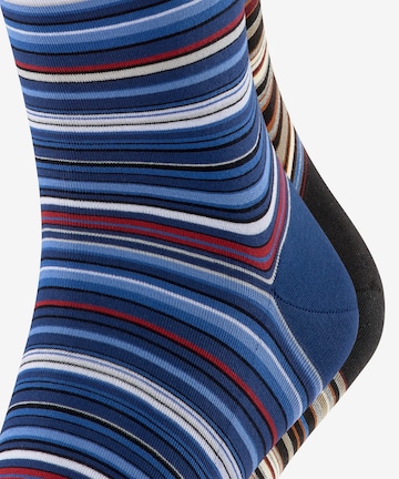 FALKE Socks 'Microblock' in Blue