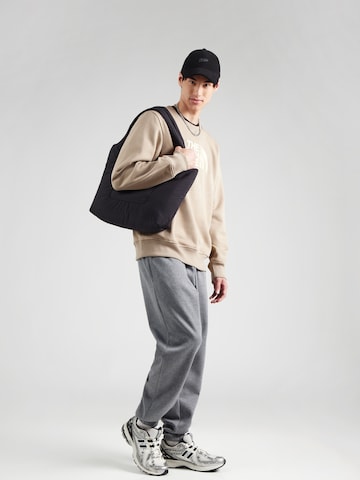 Sweat-shirt 'DREW PEAK' THE NORTH FACE en gris