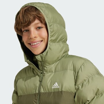 ADIDAS SPORTSWEAR Outdoorjacke in Grün