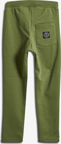 Regular Pantalon 'Anton' SOMETIME SOON en vert