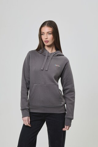 BENCH Sweatshirt in Grey