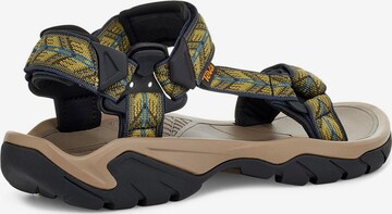 TEVA Hiking Sandals 'Terra FI 5 Universal' in Mixed colors