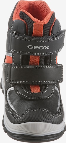 GEOX Snow Boots 'Flanfil' in Grey