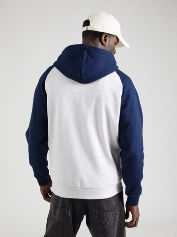 Iriedaily Sweat jacket 'De College 2' in Grey