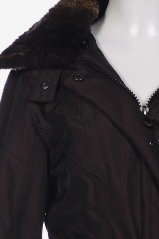 Wellensteyn Jacket & Coat in S in Brown