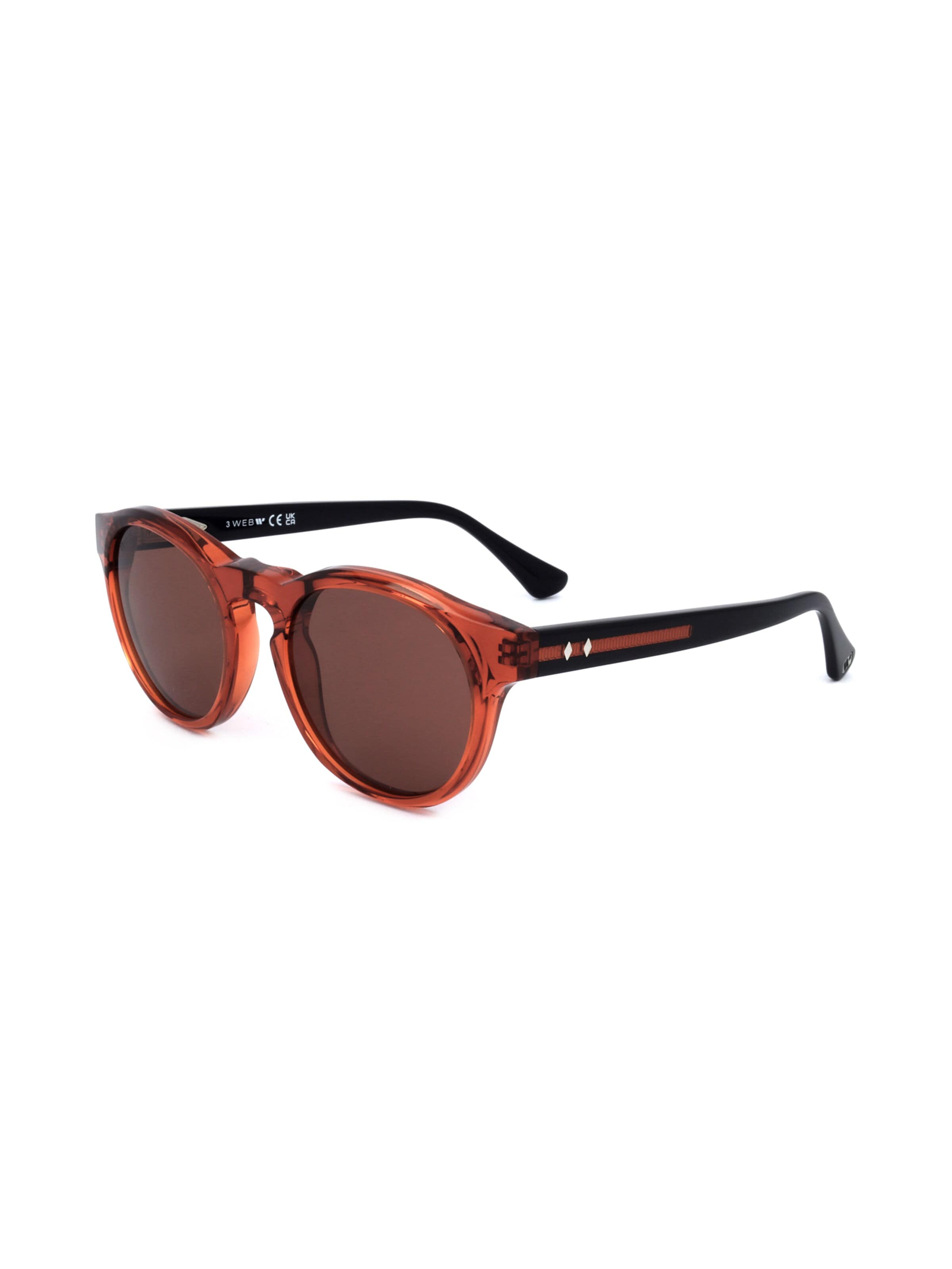 Occhiali da sole 'WE0324' di Web Eyewear in marrone: frontale