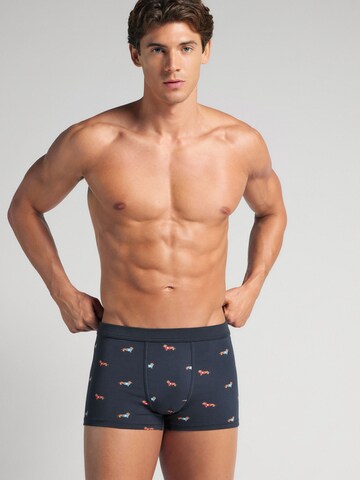 IUMAN Boxershorts in Blau