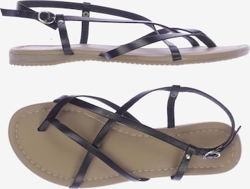 Pier One Sandals & High-Heeled Sandals in 38 in Black: front