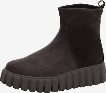 Bottines 'Schnürschuh Damen 76-780-39 Rauleder in grau' Gabor Comfort en marron : devant