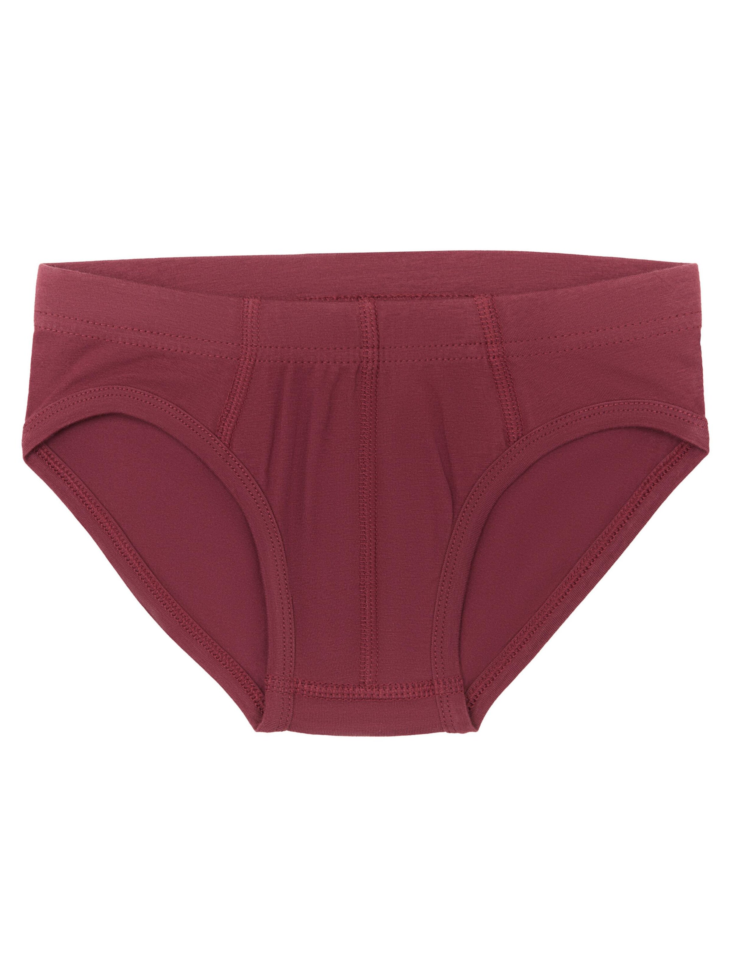 Albero Natur Underpants '4er-Set Bio-Baumwoll Jungen Slips' in Mixed colors