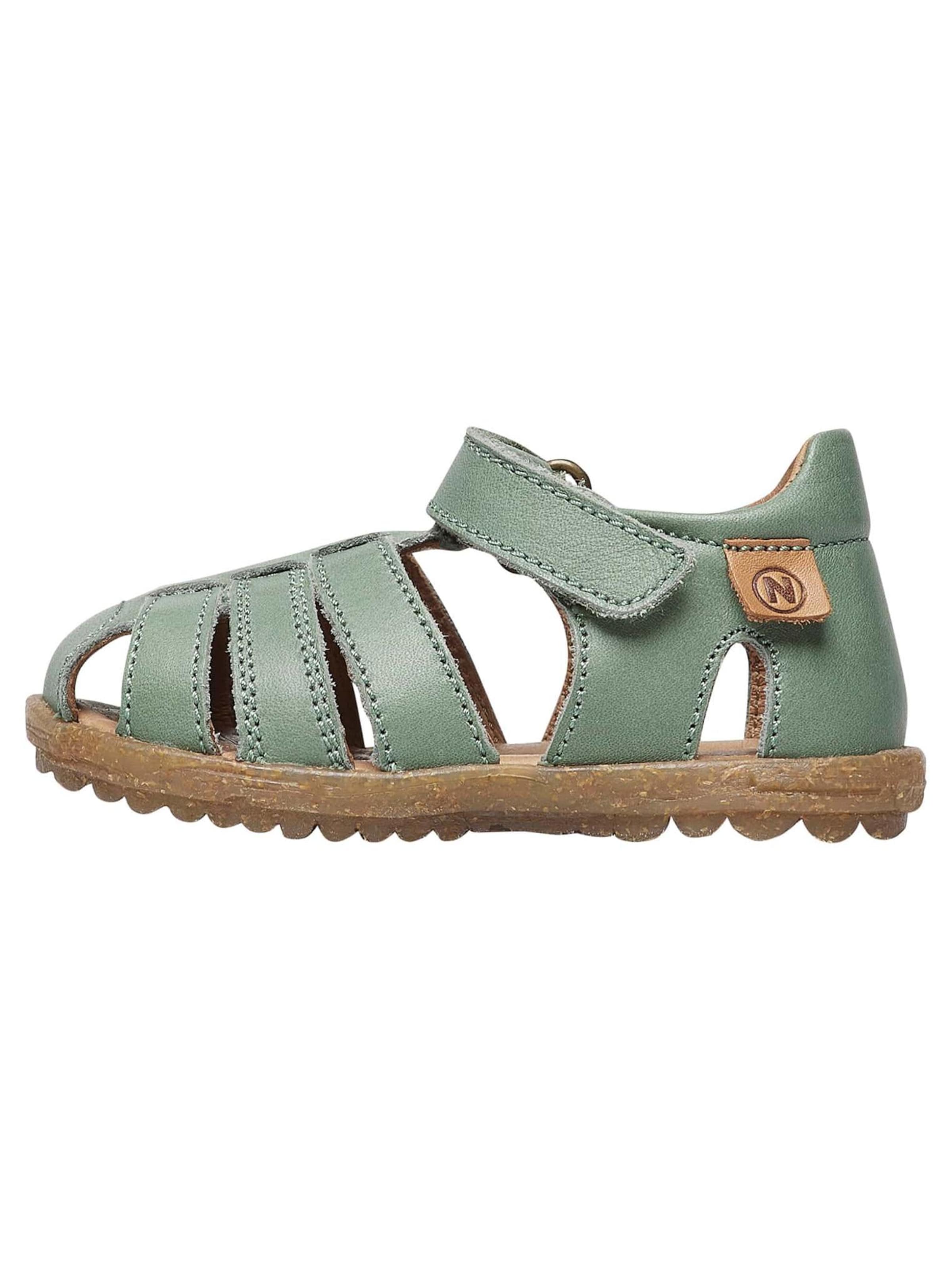NATURINO Offene Schuhe 'SEE'‌‌‌‌‌ in Grün: Vorderseite