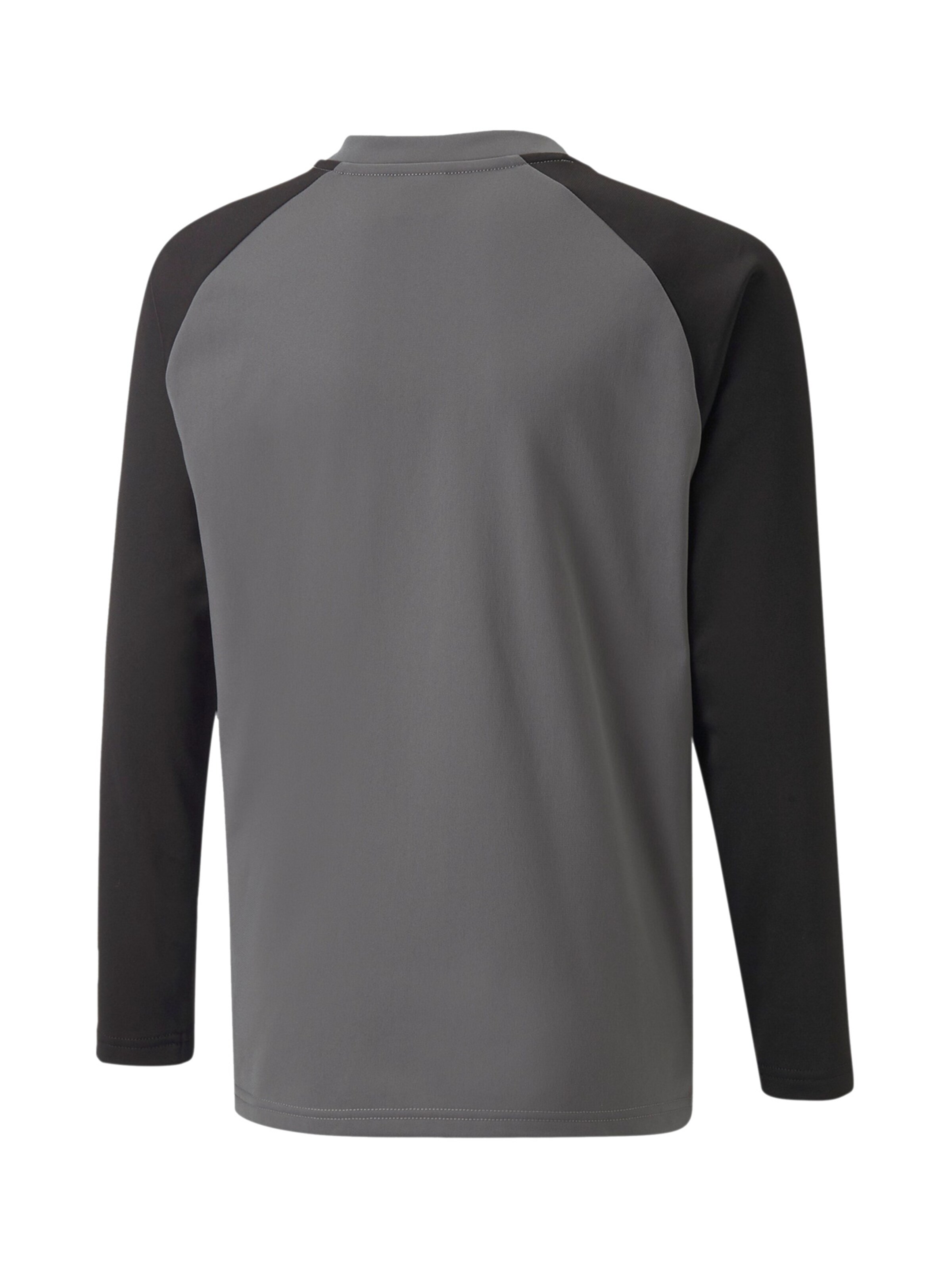 PUMA Funktionsshirt 'TeamLiga' in Grau