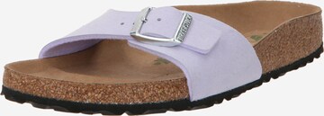 BIRKENSTOCK Pantofle – fialová: přední strana