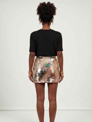 Fulgor Skirt 'Steicy' in Mixed colors