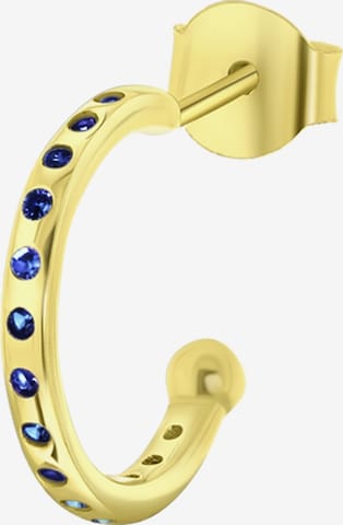 Lucardi Earrings in Gold: front