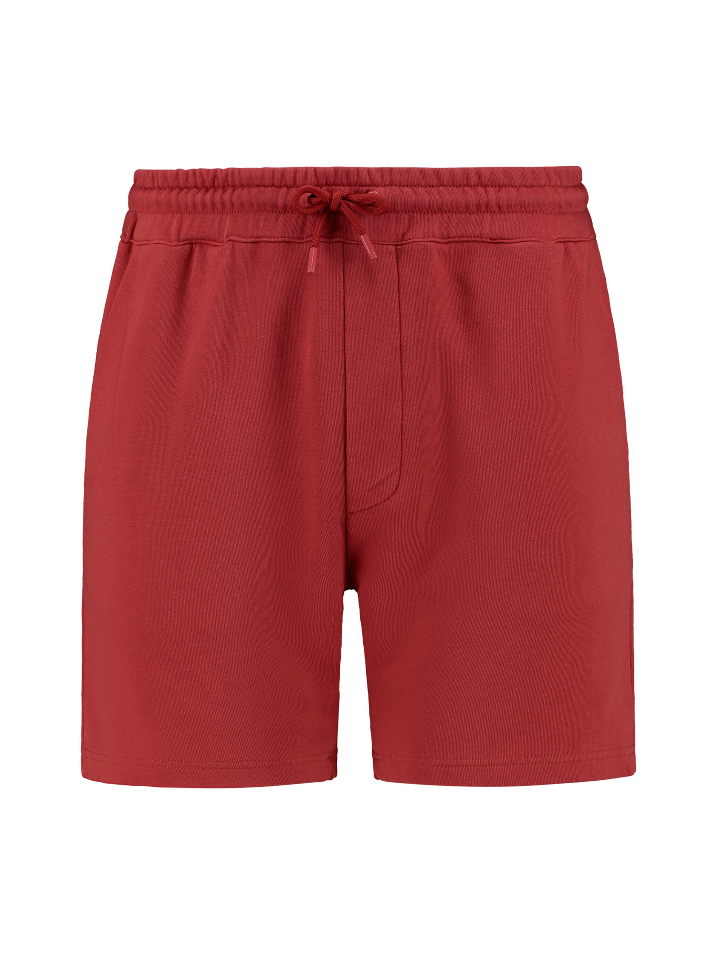 Shiwi Regular Trousers 'Steve' in Brown: front