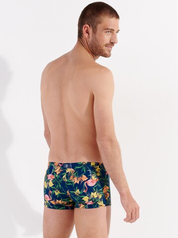 HOM Zwemshorts ' Flamingo ' in Blauw