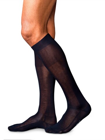 FALKE Kniestrümpfe 'No. 9 Pure Fil d´Écosse'‌‌‌ in Blau