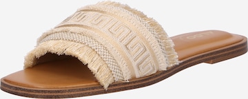 ALDO Sisäkengät 'NALANI' värissä kulta: etupuoli