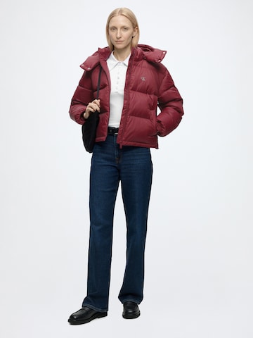 Calvin Klein Jeans Vinterjacka 'ESSENTIAL' i röd