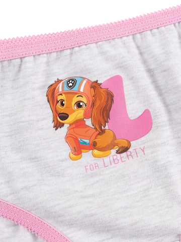 Paw Patrol Underpants in Pink