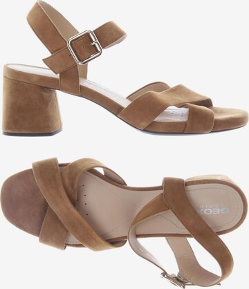 GEOX Sandals & High-Heeled Sandals in 40 in Beige: front