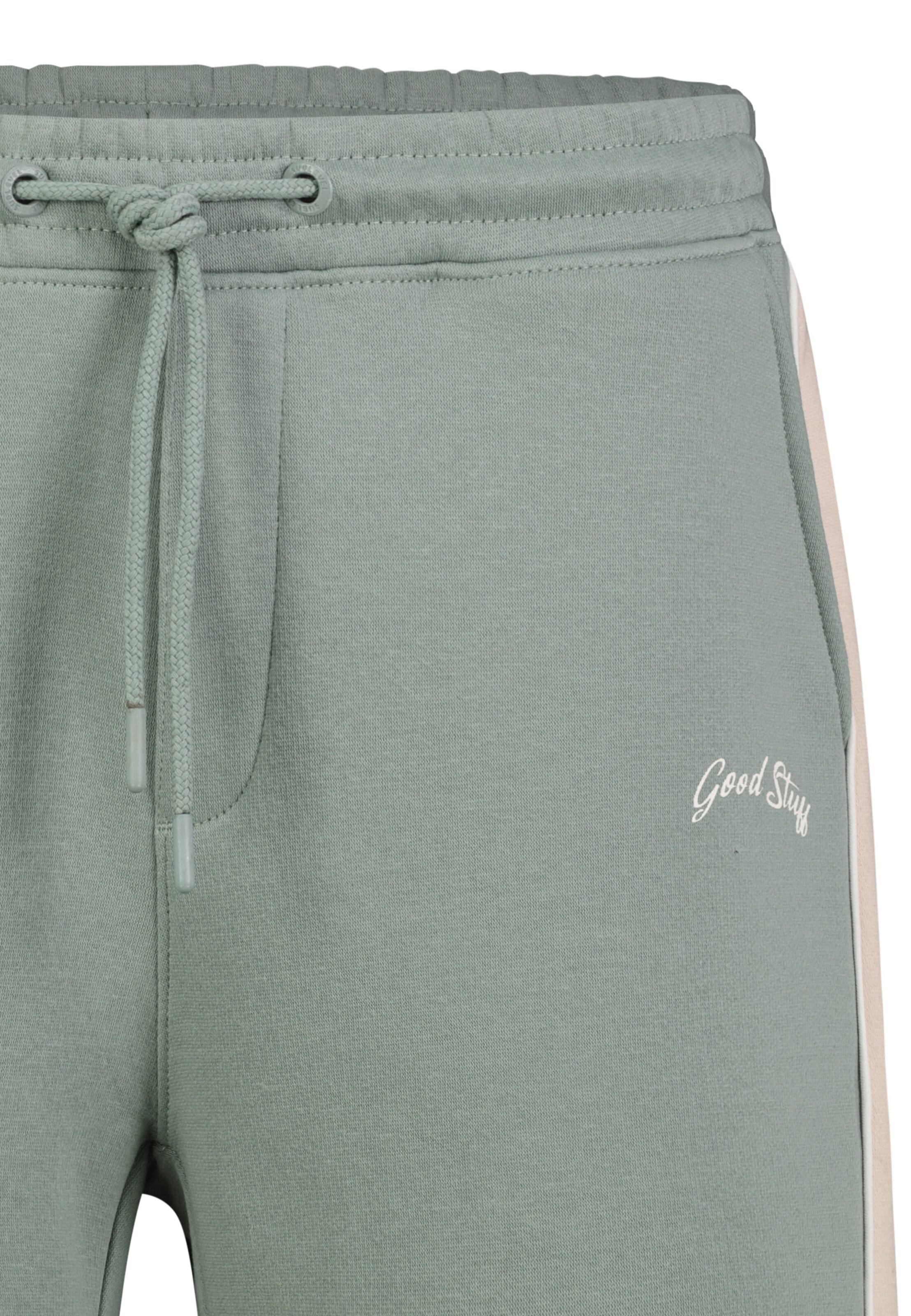 Sublevel Regular Shorts in Grün