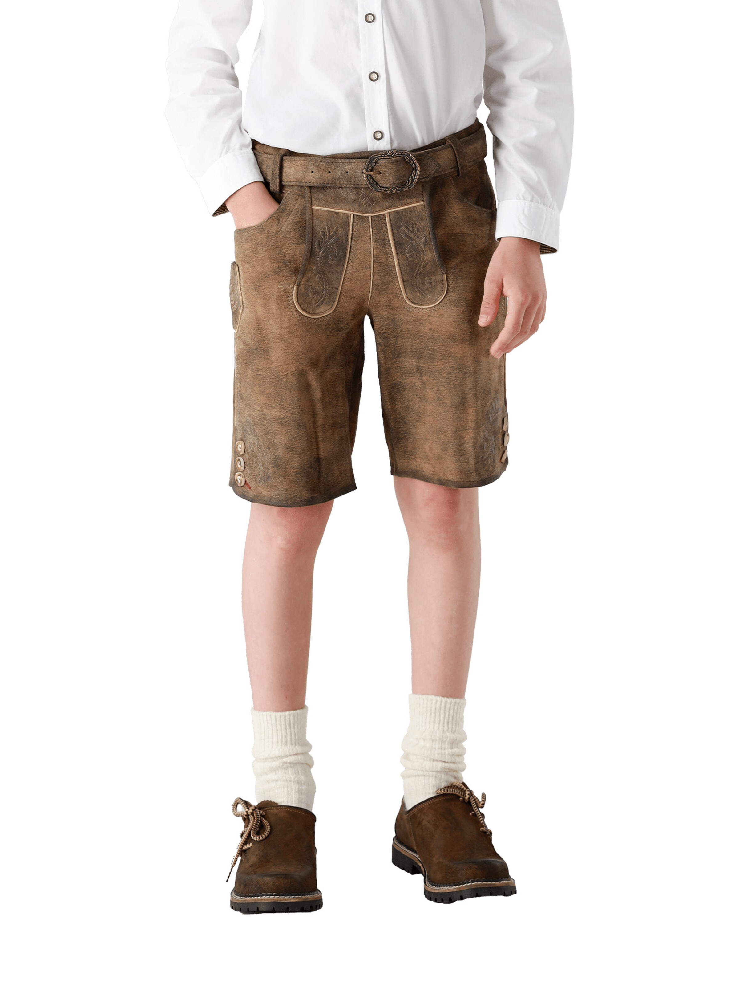 SPIETH & WENSKY Regular Pants in Brown: front