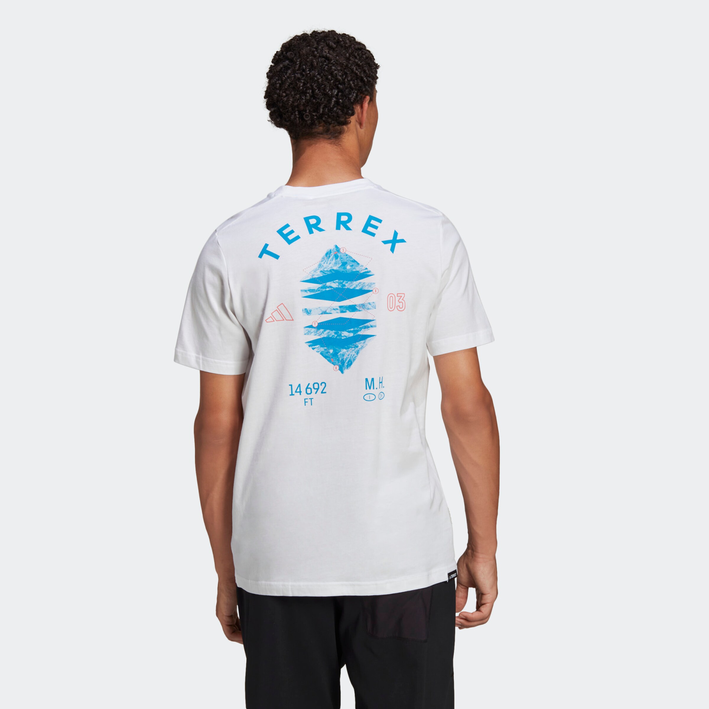 Homme T-Shirt fonctionnel Mountain Landscape adidas Terrex en Blanc 