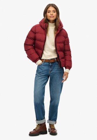 Superdry Tussenjas in Rood