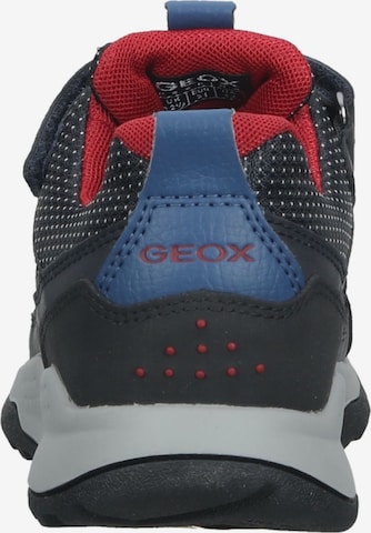 Baskets GEOX en bleu