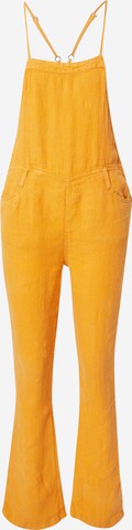 BDG Urban Outfitters Flared Latyhose 'EFFY' in Orange: predná strana