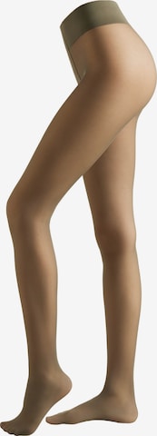 CALZEDONIA Strumpfhose in Grün: Vorderseite