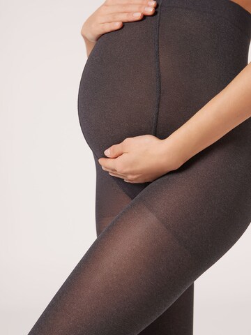 CALZEDONIA Strumpfhose in Grau