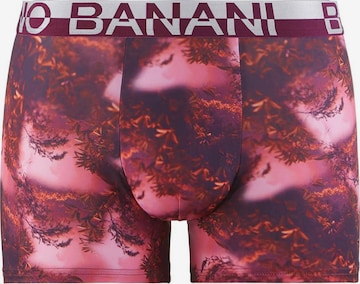 BRUNO BANANI Boxershorts in Pink: predná strana