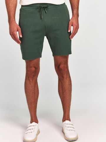 Shiwi Regular Pants 'Mavis' in Green: front