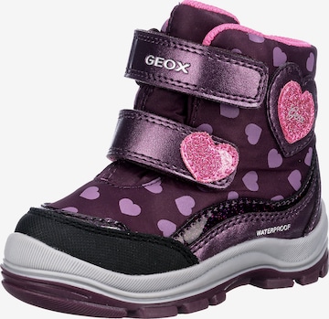 GEOX Boots in Purple: front