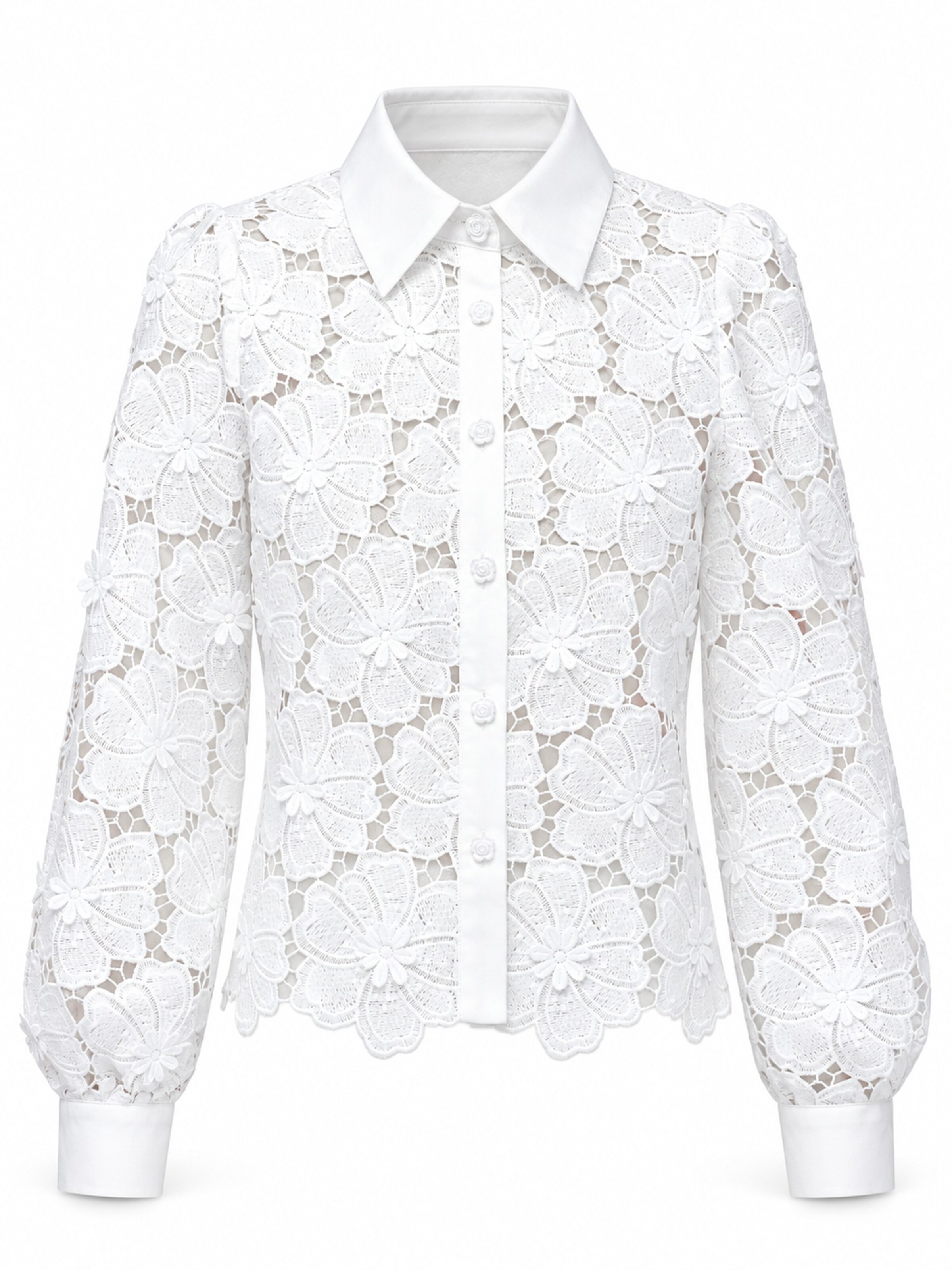 Ombre Blus i vit: framsida